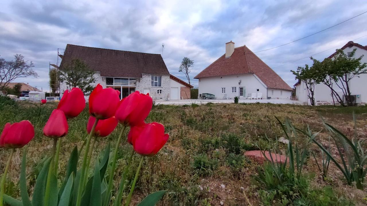 Domaine Ravy-Magnolia Apartment Saint-Symphorien-sur-Saone Екстериор снимка